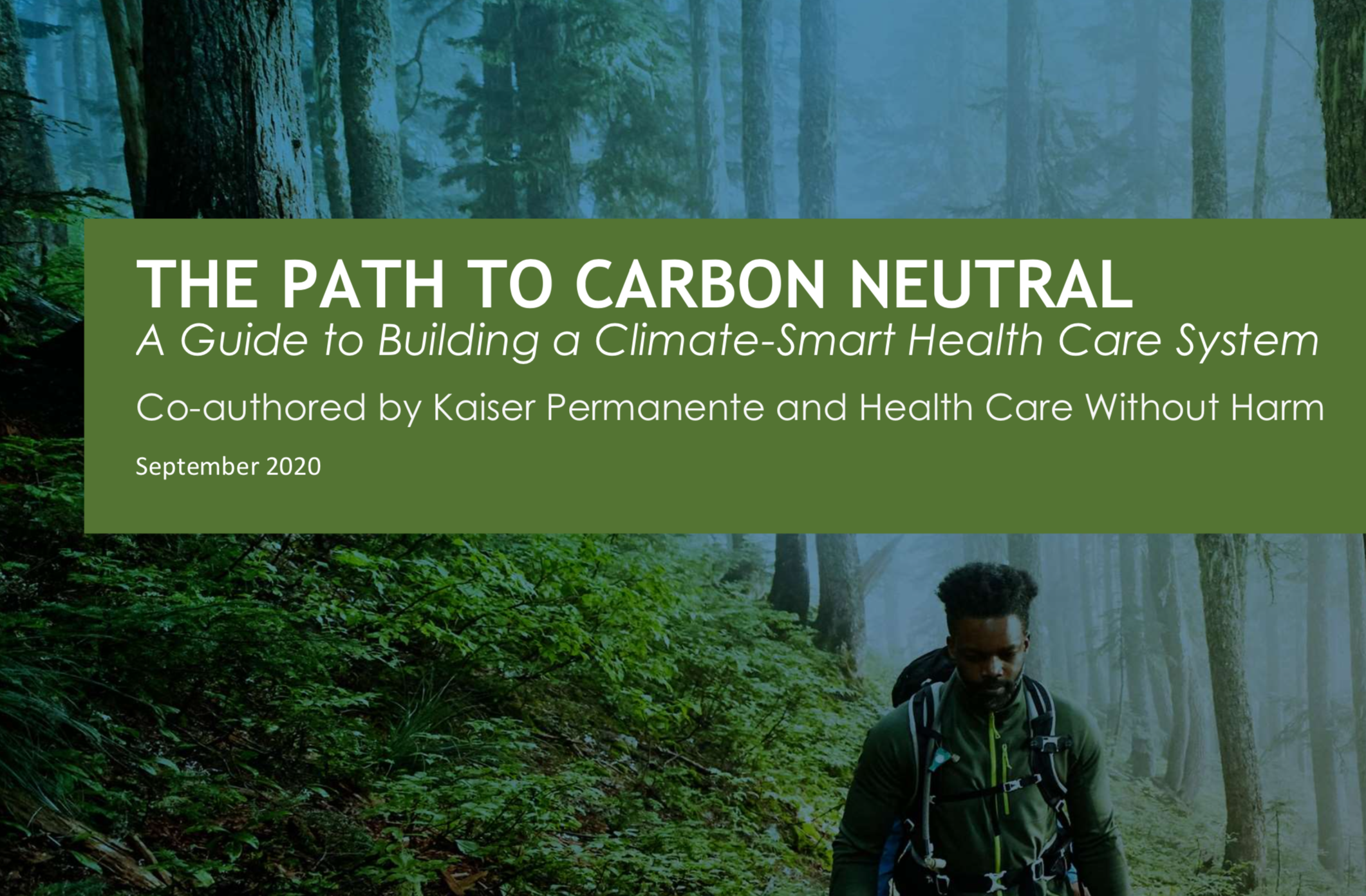 Path to Carbon Neutral Guide image